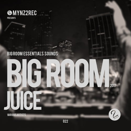 Cover art for Big Room Juice (Big Room Essentials Sounds from the World)