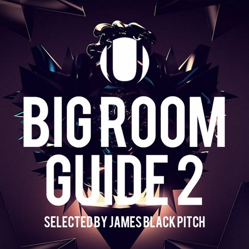 Big Room Guide 2 (Selected by James Black Pitch)