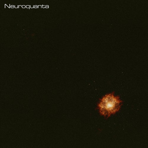 Neuroquanta