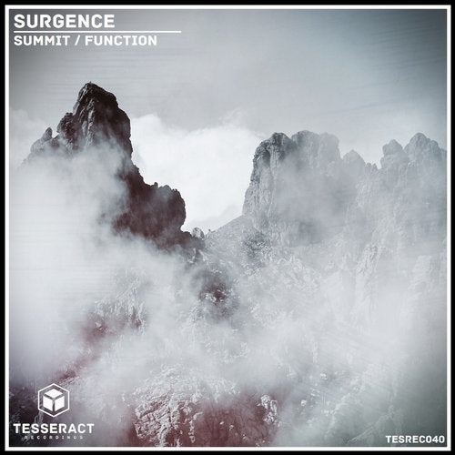 Cover art for Summit/Function