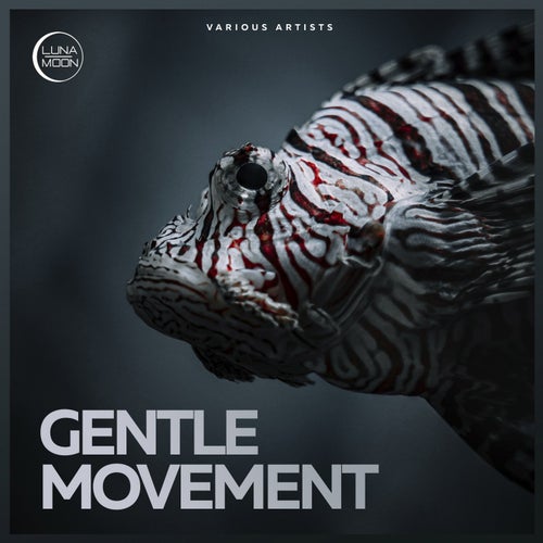 Gentle Movement