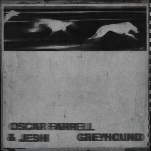 Greyhound