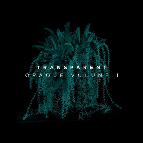Opaque, Vol. 1
