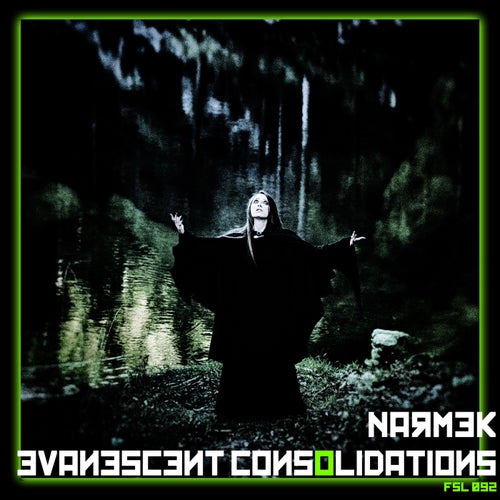 Cover art for Evanescent Consolidations