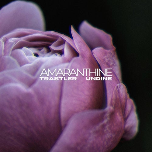 Amaranthine