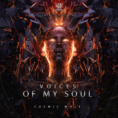 Voices Of My Soul