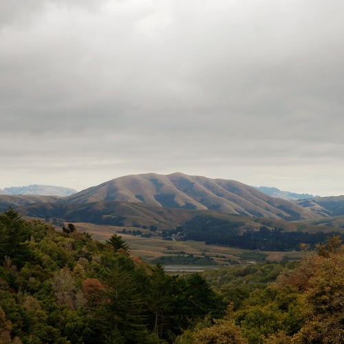 Mount Wittenberg Orca - Expanded Edition