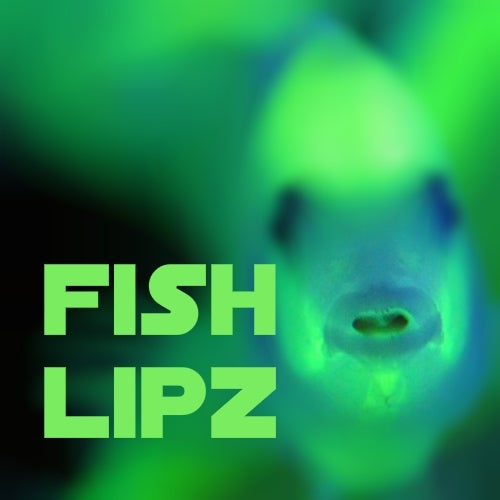 Fish Lipz Records