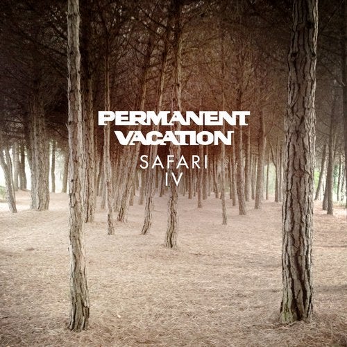 Cover art for Permanent Vacation Safari 4