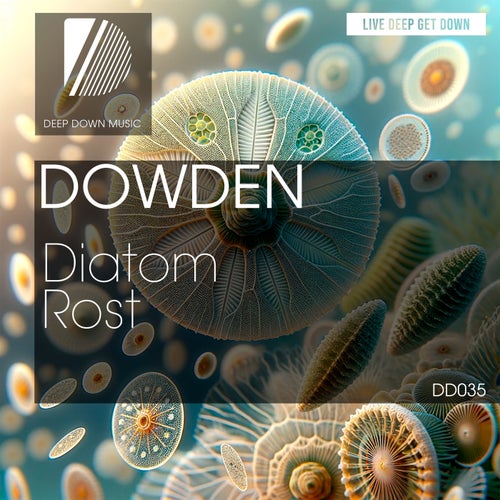  Dowden - Diatom (2024) 