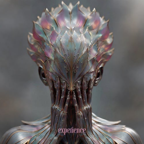 Experience
