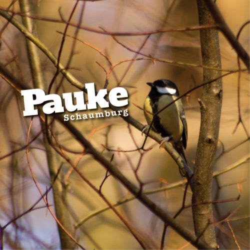 PAUKE MARCH SELECTIONS