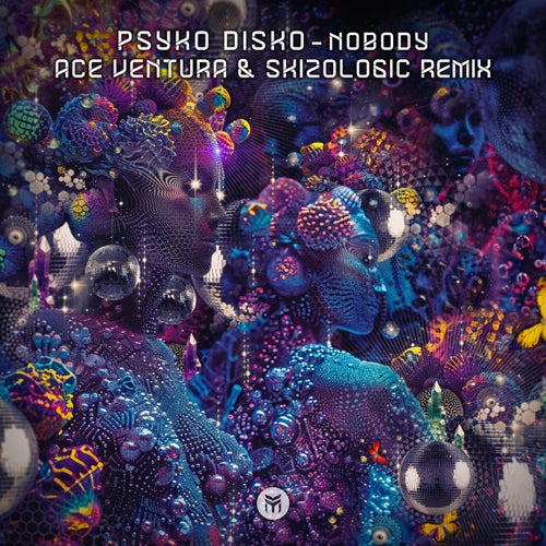  Psyko Disko - Nobody (Ace Ventura & Skizologic Remix) (2024) 