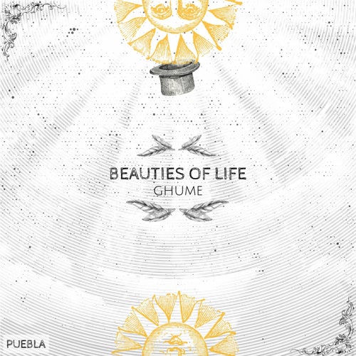 Beauties of Life