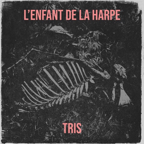 L'enfant de la harpe