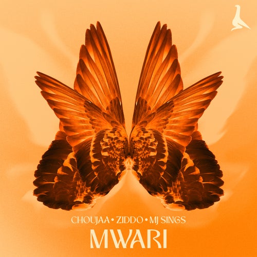 Mwari