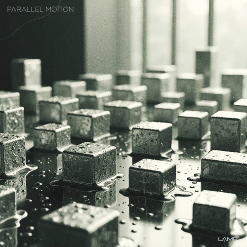 Parallel Motion