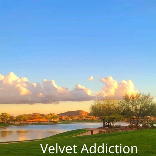 Velvet Addiction