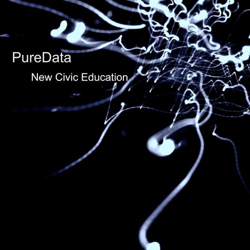New Civic Education
