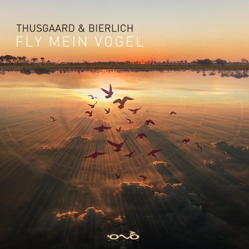 Fly Mein Vogel