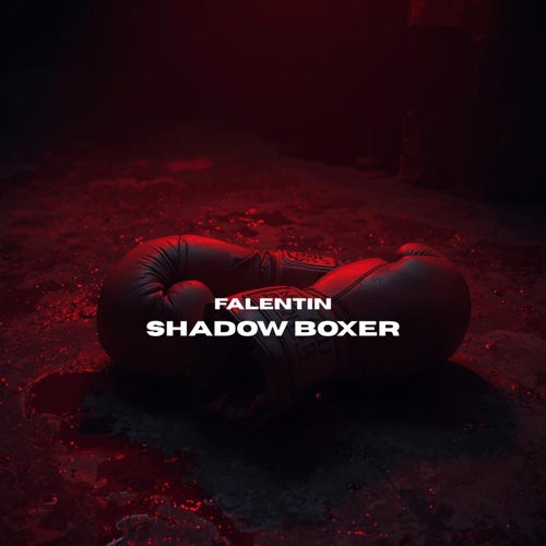 SHADOW BOXER