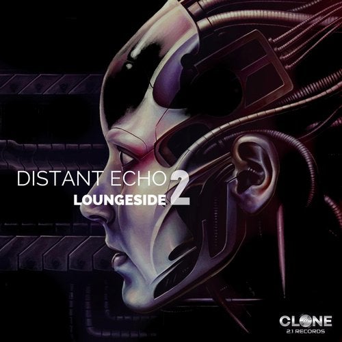Cover art for Distant Echo 2