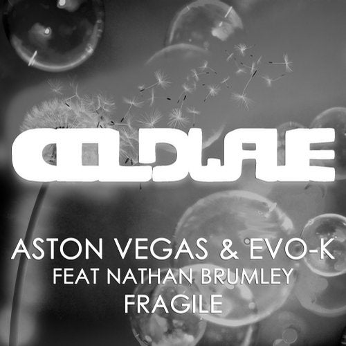 Cover art for Fragile
