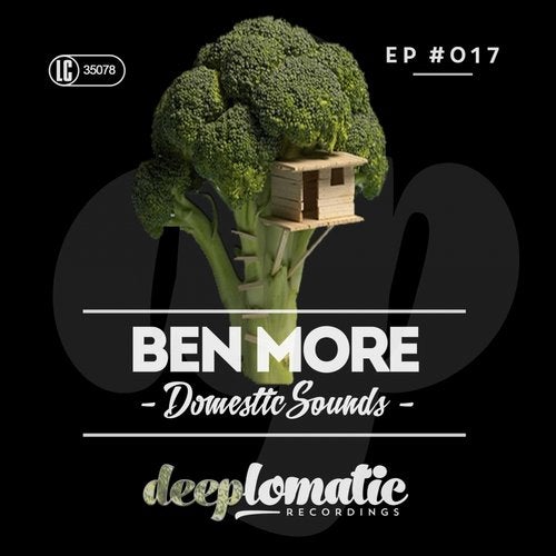 Cover art for Domestic Sounds