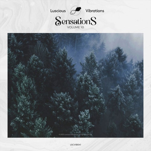 Sensations, Vol. 10