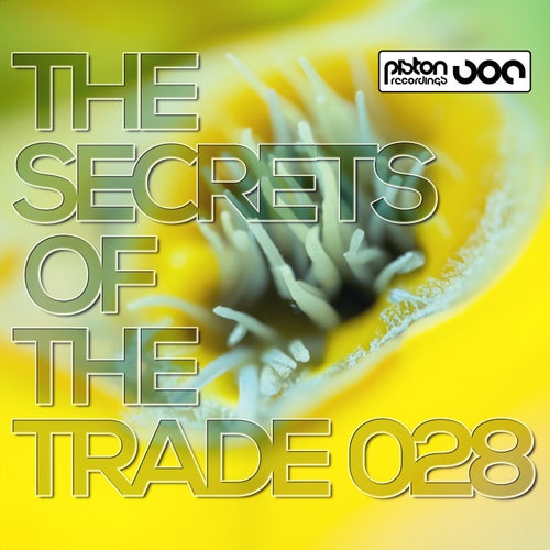 VA - The Secrets Of The Trade 028 PRCD2024068