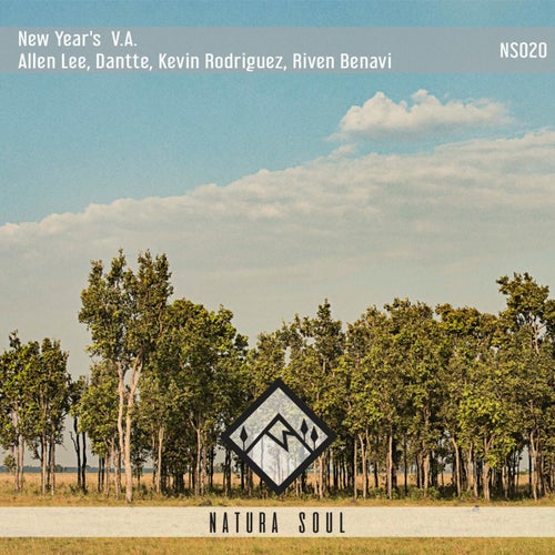 New Year's VA