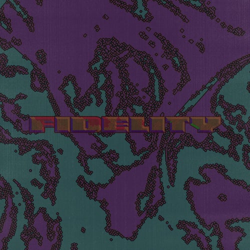 Fidelity