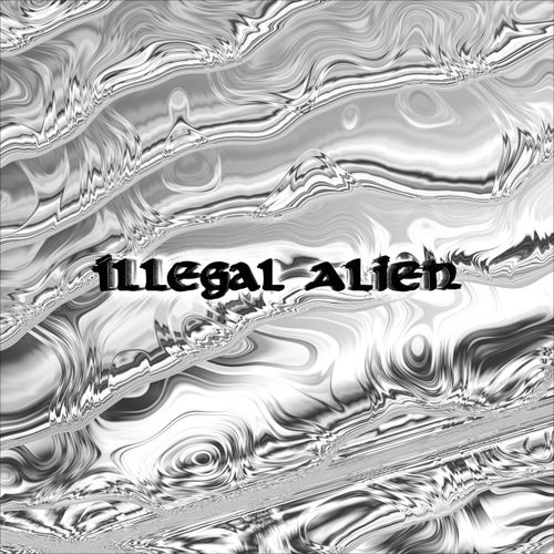 Illegal Alien