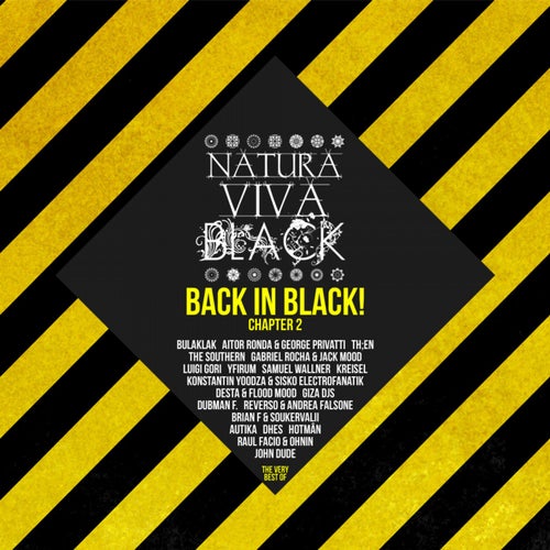Back In Black! (The Very Best Of) Chapter 2