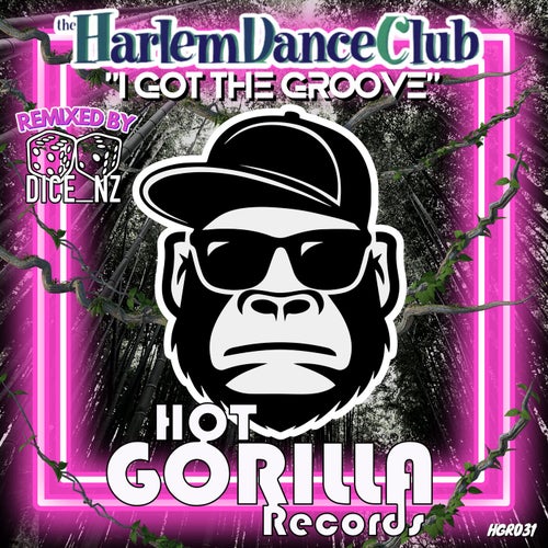 I Got The Groove