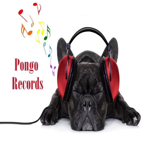 Pongo Records