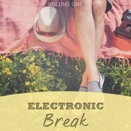 Electronic Break, Vol. 1 (Wonderful & Peaceful Electronic Tunes)