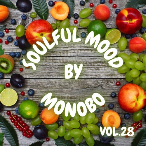 Soulful Mood vol.28
