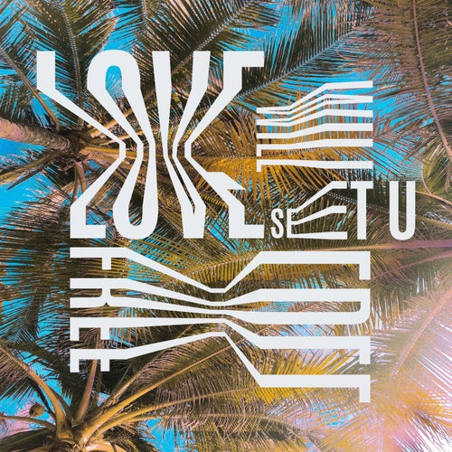 Cover art for Love Will Set U Free