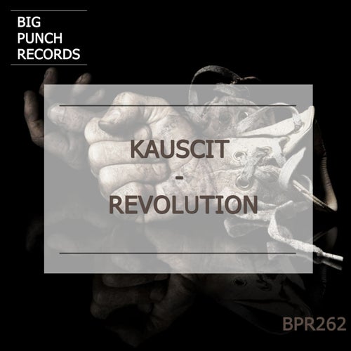 Cover art for Revolution