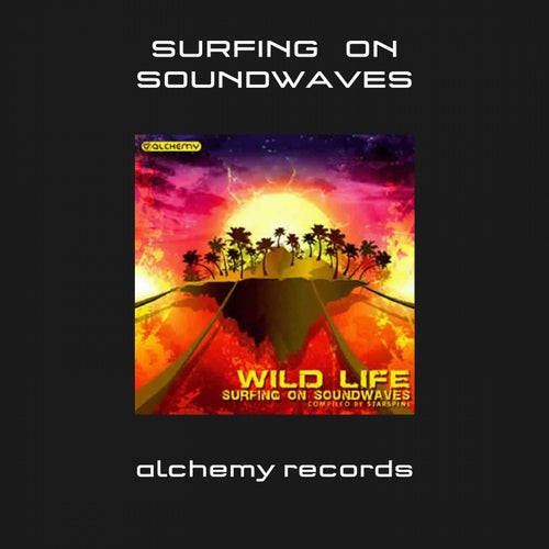 Wild Life 3: Surfing on Soundwaves