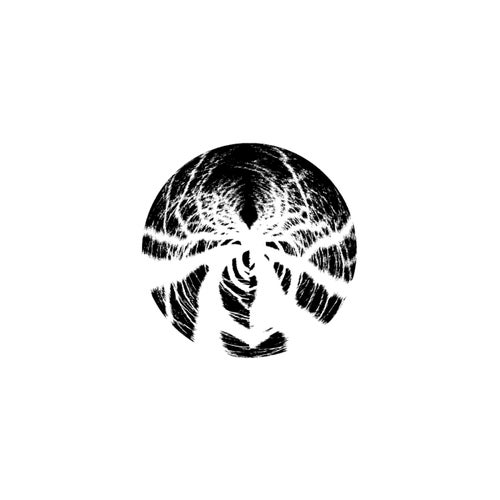 Dark Forest Theory (The Remixes)