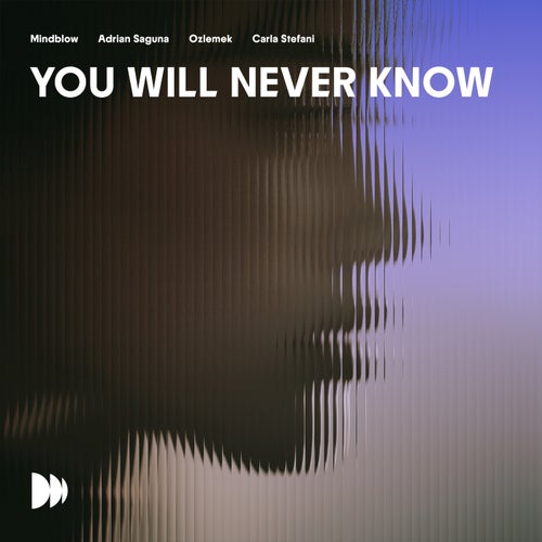 You Will Never Know (Extended Version)