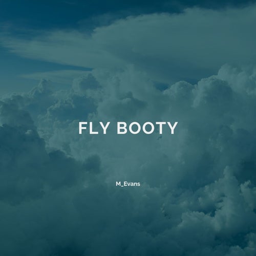 Cover art for Fly Booty