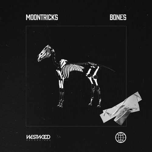 Cover art for Bones