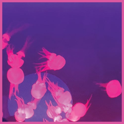 Cover art for Moogie