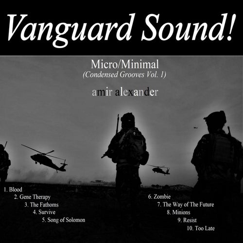Micro​/​Minimal ((Condensed Grooves Vol.1))