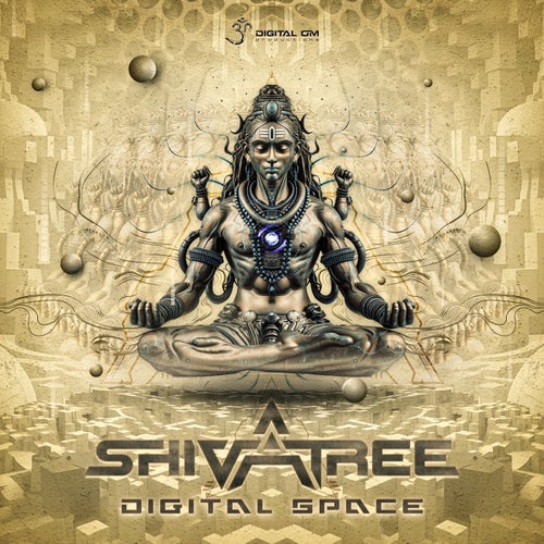  Shivatree - Digital Space (2024) 