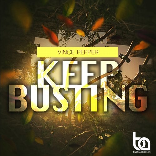 Cover art for Keep Busting