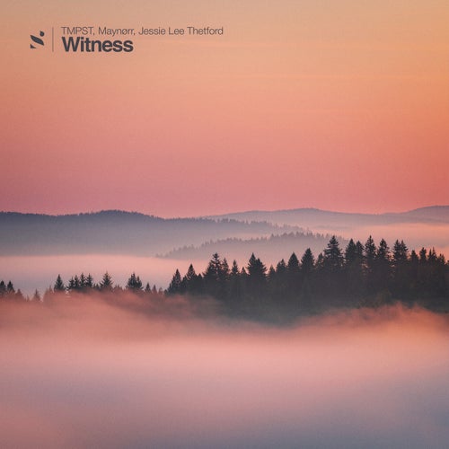 Witness